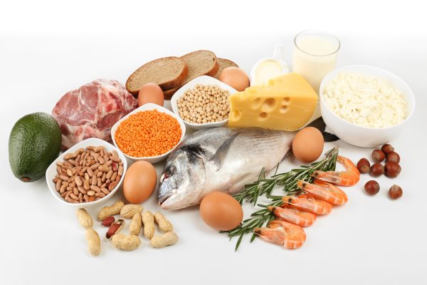 Lebensmittel - Proteinquellen