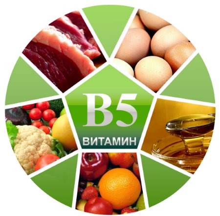 Liste des produits contenant de la vitamine B5. La proportion de la teneur en vitamines