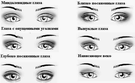 Types de formes d'yeux