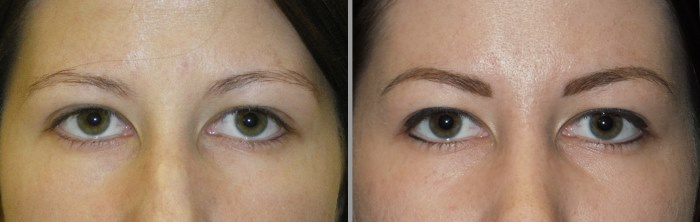 Maquillage permanent des sourcils - qu'est-ce que c'est, technique capillaire, sourcils poudrés, photo