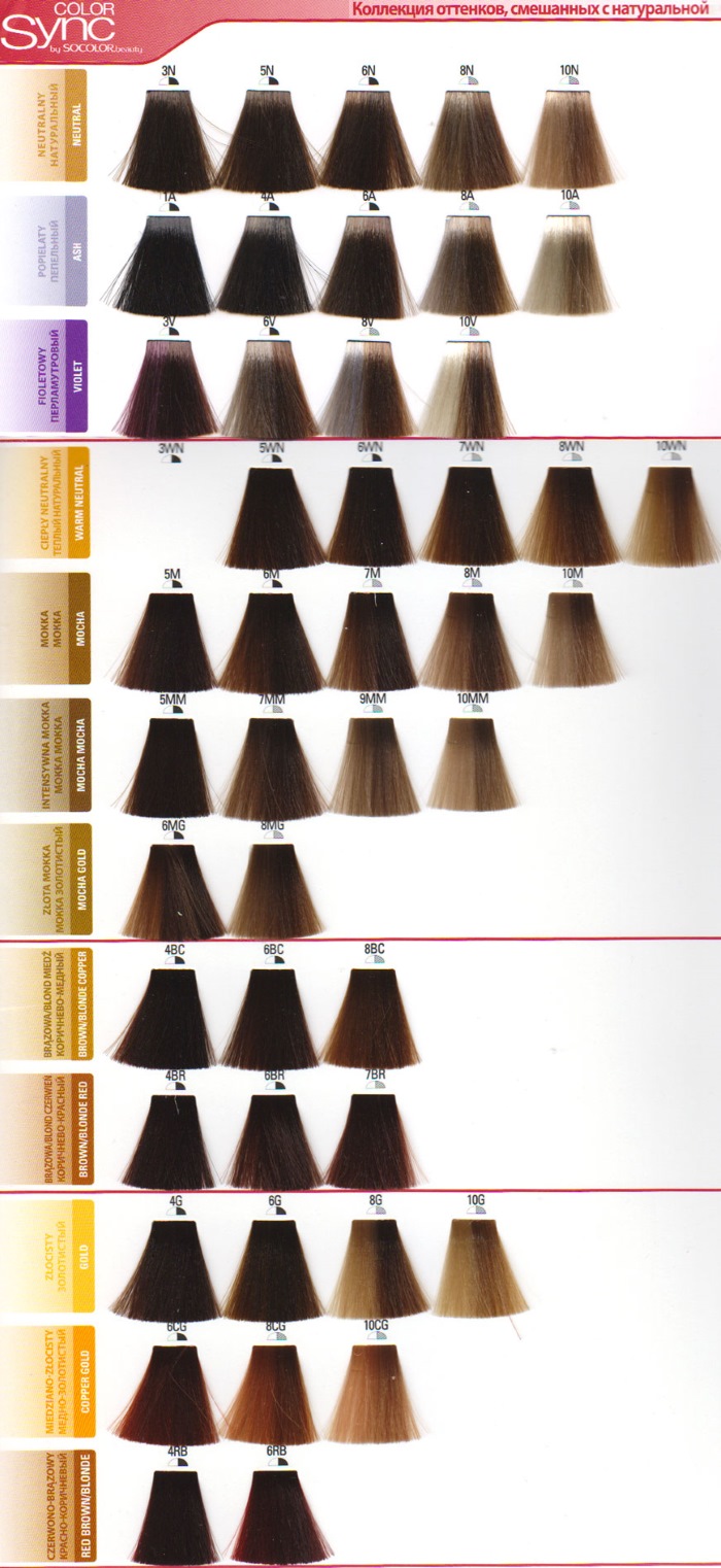 Matrice de teinture capillaire - palette de couleurs par numéros, photo sur cheveux