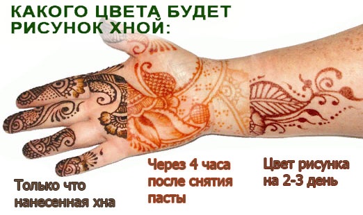 Dessins au henné pour les débutants sur la jambe, la main, le poignet. Croquis simples, pochoirs. Instructions étape par étape avec une photo