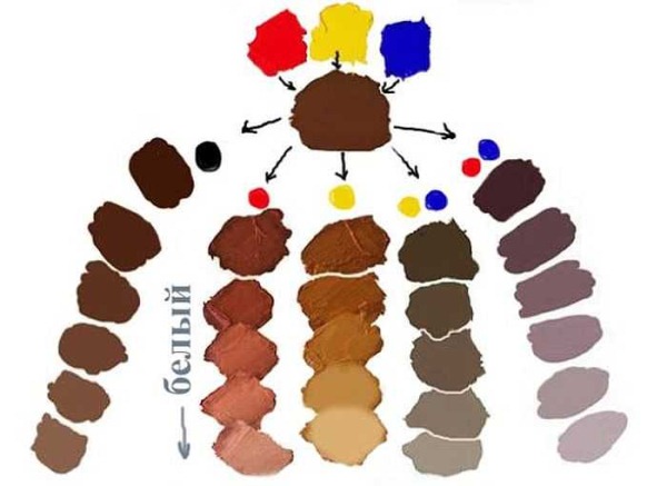 La combinaison de couleurs en couleur. Roue chromatique, teintures capillaires, règles de mélange des nuances