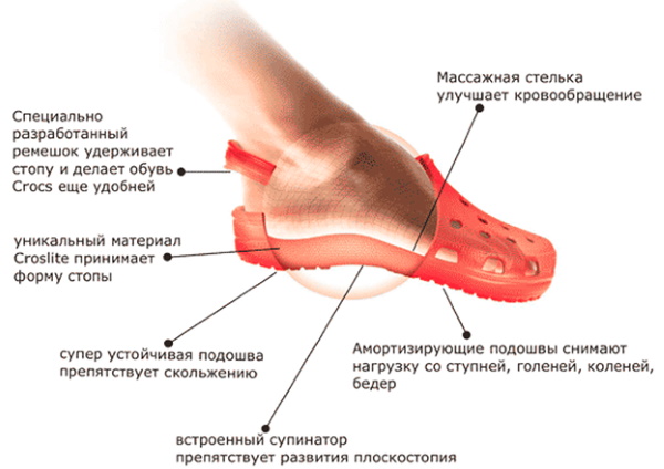 Chaussures Crocs (Crocs). Grille dimensionnelle pour enfants, hommes, femmes crocs: bottes, baskets, sandales, bottes