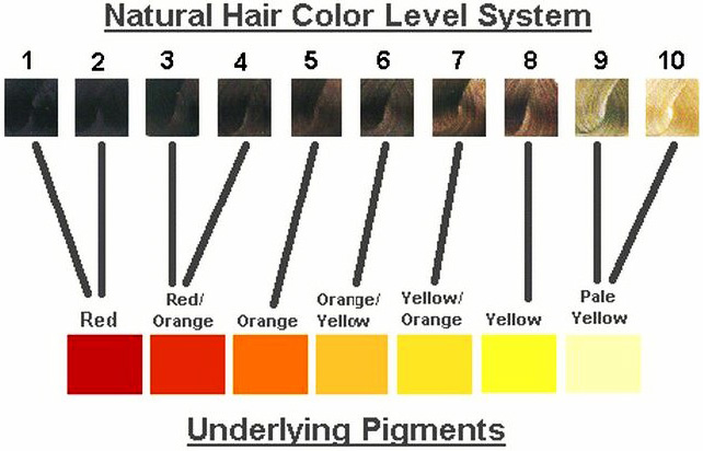 Pré-pigmentation des cheveux avant coloration. Comment faire